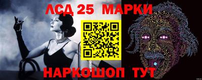 spice Свободный