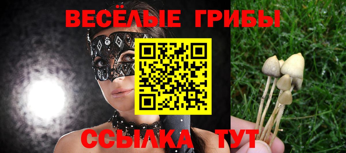 Галлюциногенные грибы Magic Shrooms Сатка